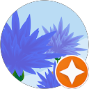 KC0 705 profile picture